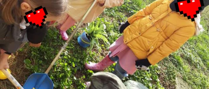 "preparazione del terreno"